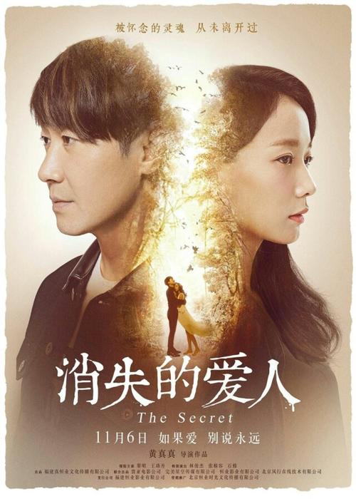 办理假会计师注册证